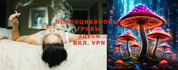mix Армянск